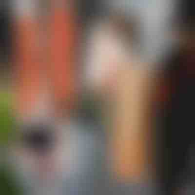 Trake za podizanje i pomicanje (2kom) | DUOLIFTERS