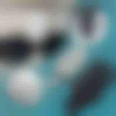 Držači sunčanih naočala za automobil (2 kom) | MAGSUNS