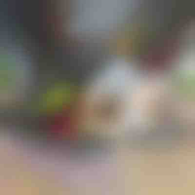 Sjeckalica i rezač povrća 12 u 1 | CHOPMASTER