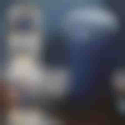 Višenamjenski mlinac za sve vaše potrebe | GRIDZ