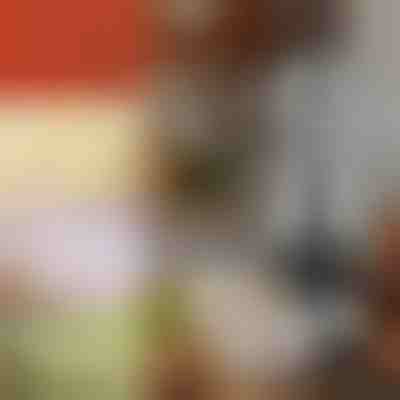 Ručna sjeckalica povrća | CHOPSTER