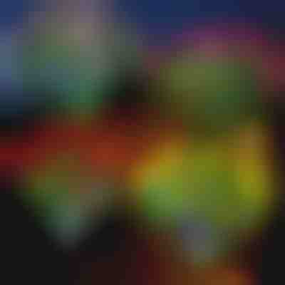 Solarna svjetla u obliku cvijeća | ROSILUME